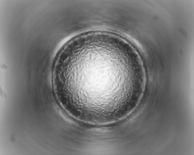 X0000091101272200708131100