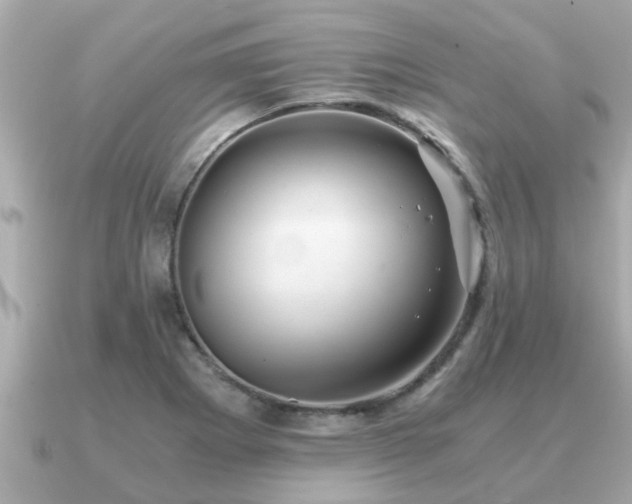 X0000091101273200708131100