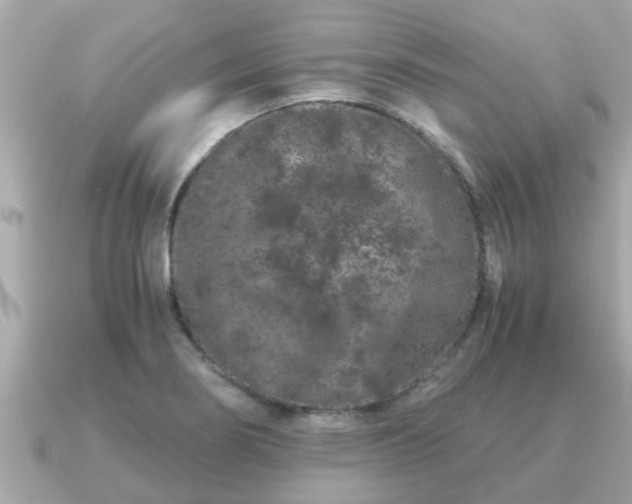 X0000091101274200708131100