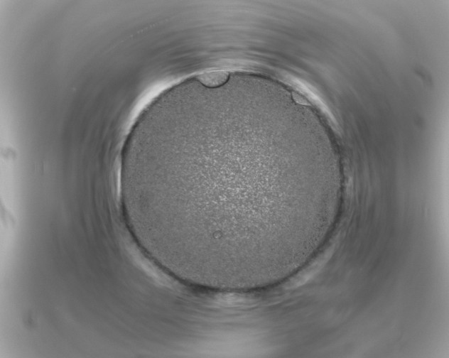 X0000091101275200708131100