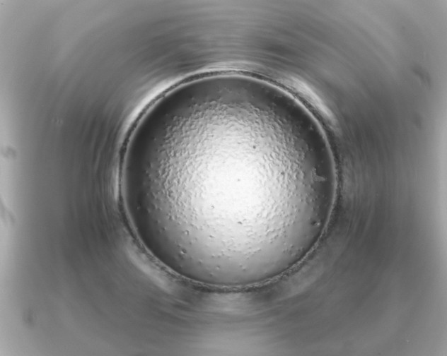 X0000091101276200708131100