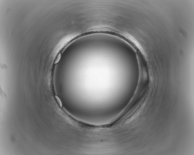 X0000091101277200708131059