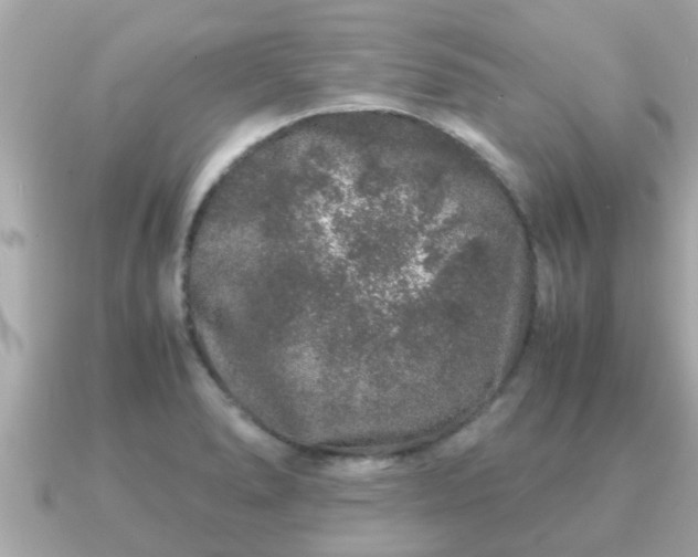 X0000091101278200708131059