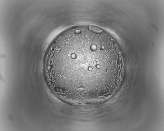 X0000091101279200708131059