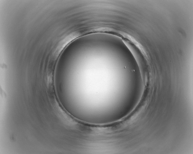 X0000091101281200708131059