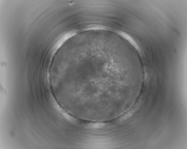 X0000091101282200708131059