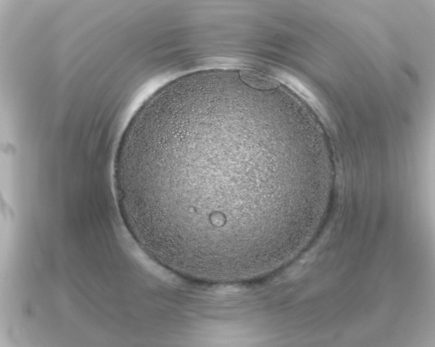 X0000091101283200708131059