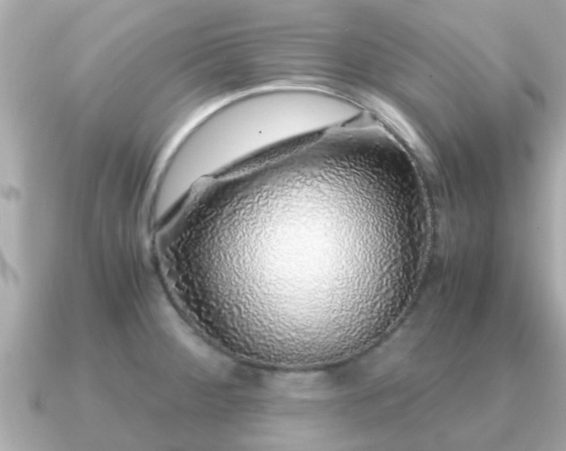 X0000091101284200708131059