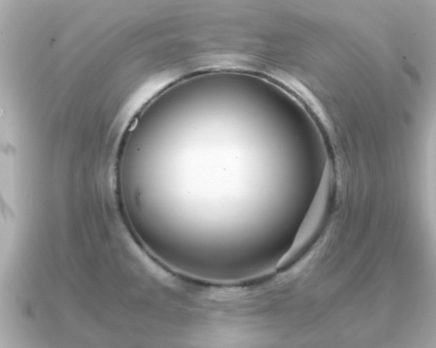 X0000091101285200708131059