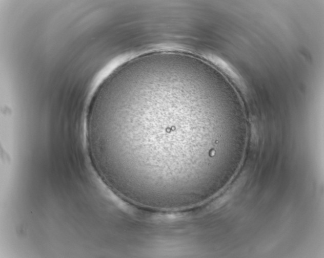 X0000091101286200708131059