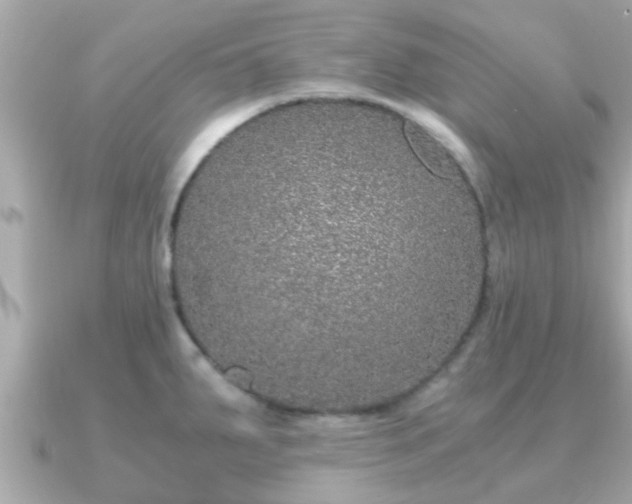 X0000091101287200708131059