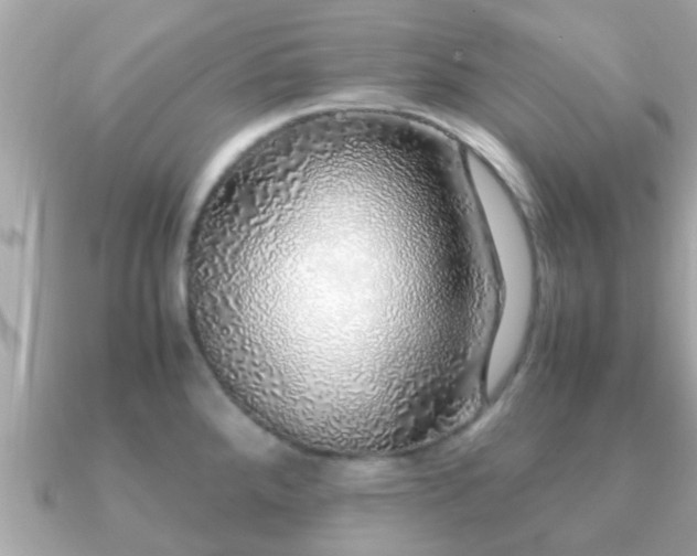 X0000091101288200708131059