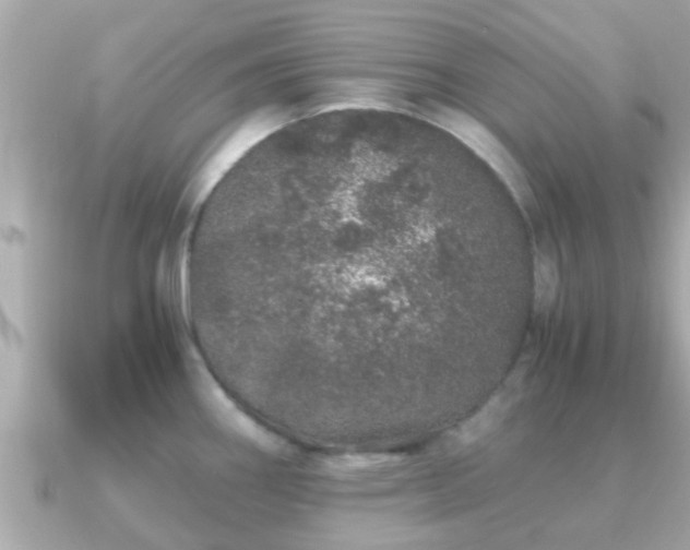 X0000091101290200708131059