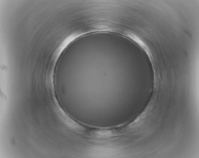 X0000091101291200708131059