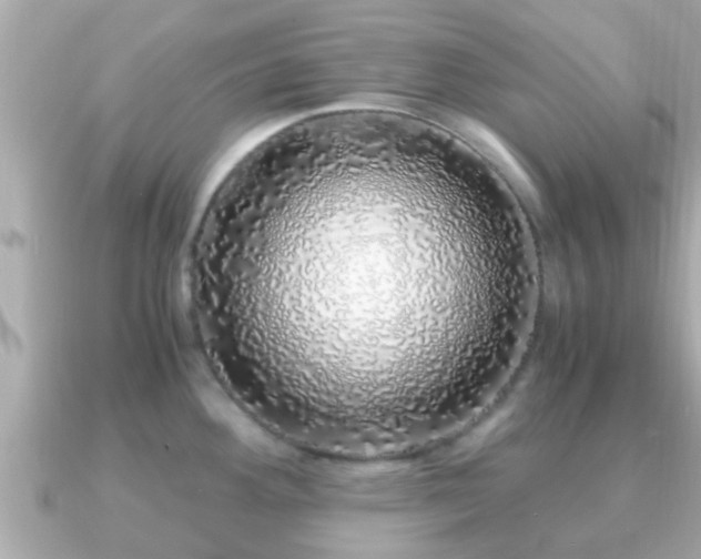 X0000091101292200708131059