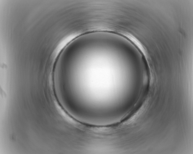 X0000091101293200708131059