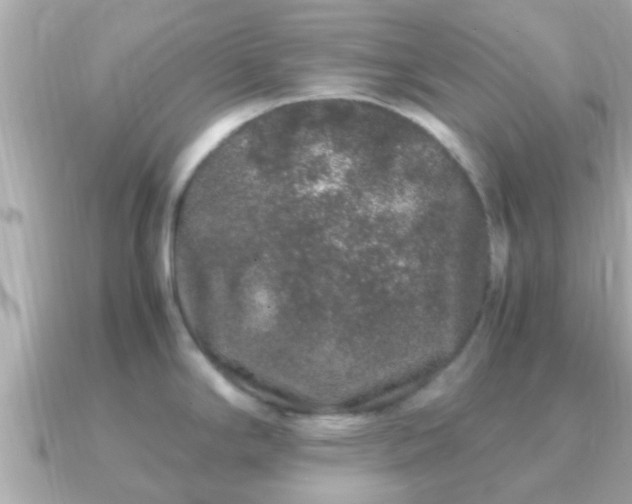 X0000091101294200708131059