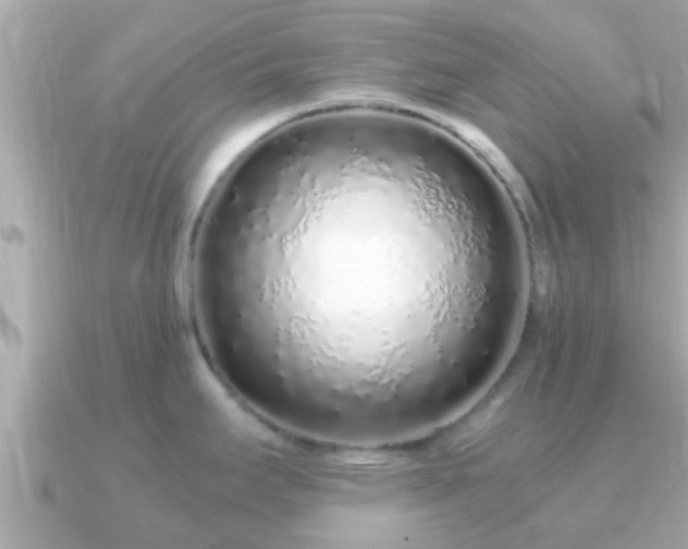 X0000091101295200708131059