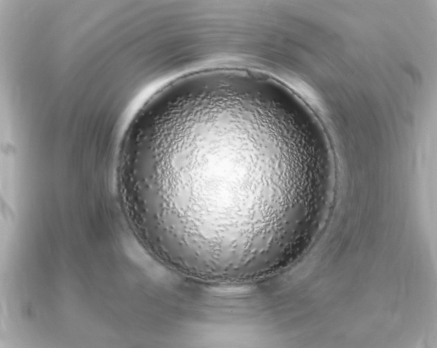 X0000091101296200708131059