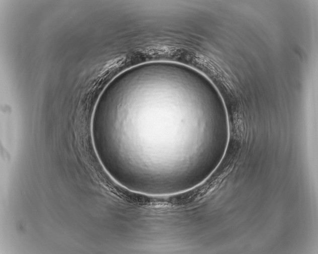 X0000091101297200708131059