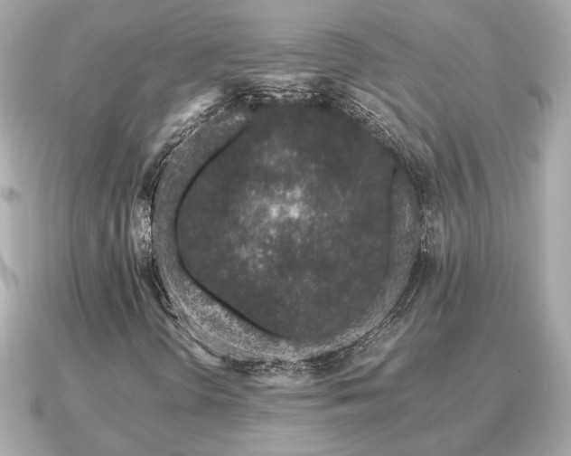 X0000091101298200708131059