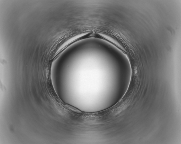 X0000091101300200708131059