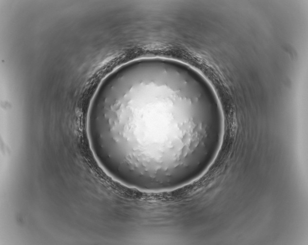 X0000091101301200708131059