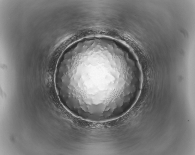 X0000091101302200708131059