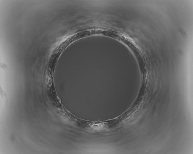 X0000091101303200708131059