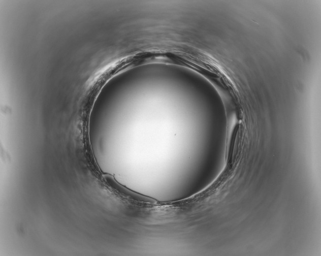 X0000091101304200708131059