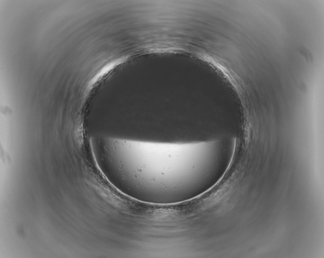 X0000091101306200708131059