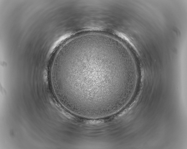 X0000091101307200708131059