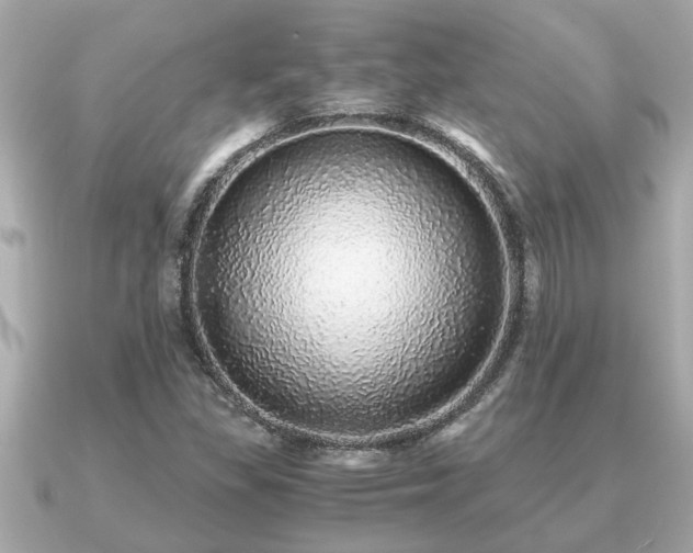 X0000091101309200708131059