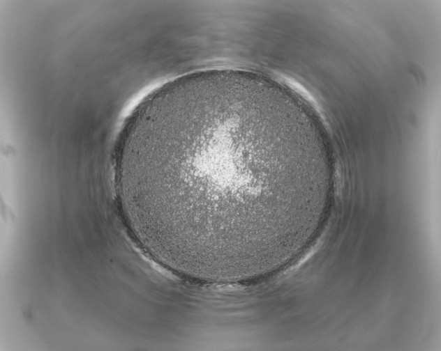 X0000091101310200708131059