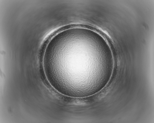 X0000091101311200708131059