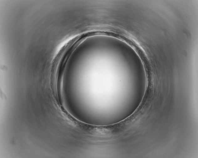 X0000091101312200708131059