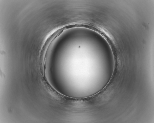 X0000091101316200708131059