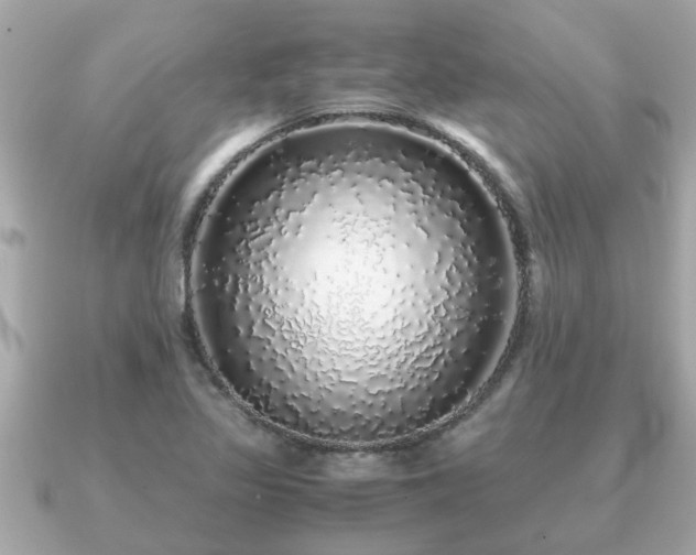 X0000091101317200708131059