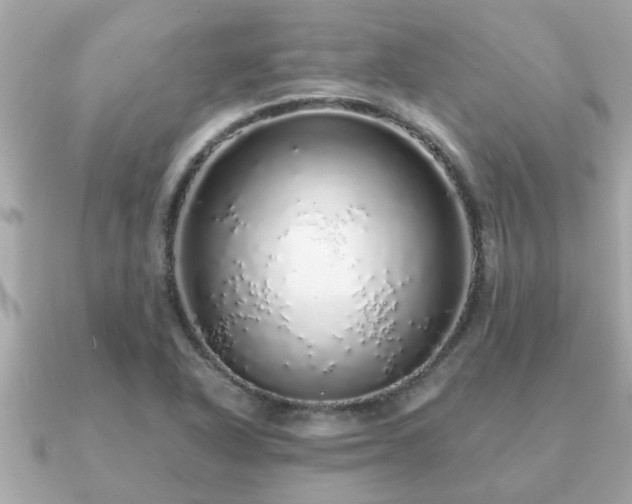 X0000091101318200708131059