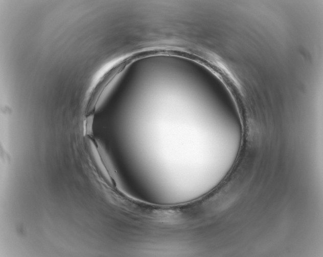 X0000091101320200708131059