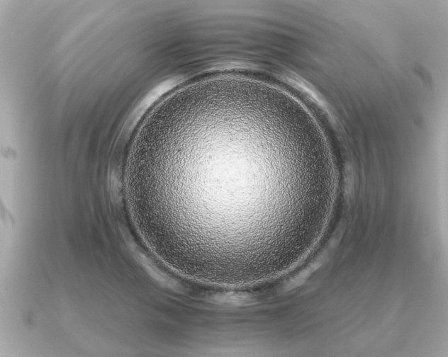 X0000091101321200708131059