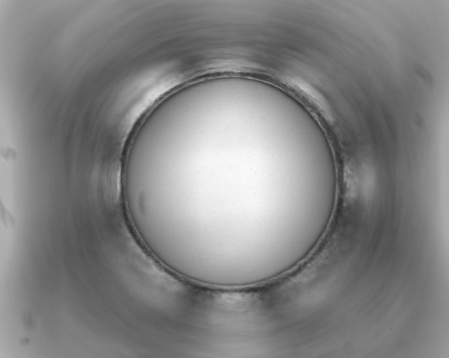 X0000091101322200708131059