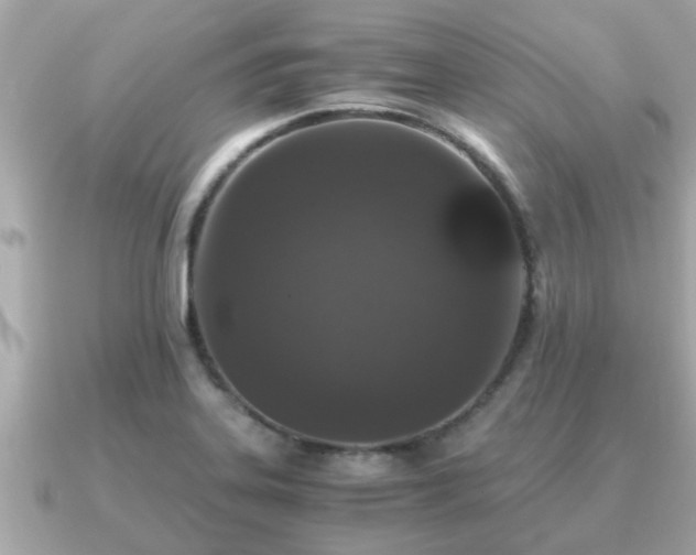 X0000091101323200708131059