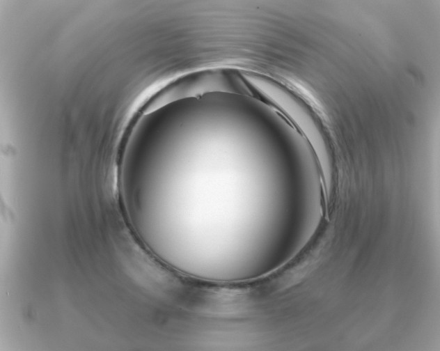 X0000091101324200708131059