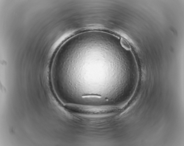 X0000091101325200708131059