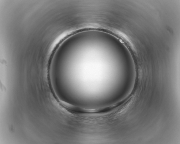 X0000091101326200708131059