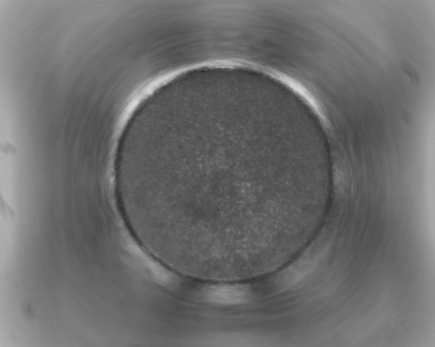 X0000091101327200708131059