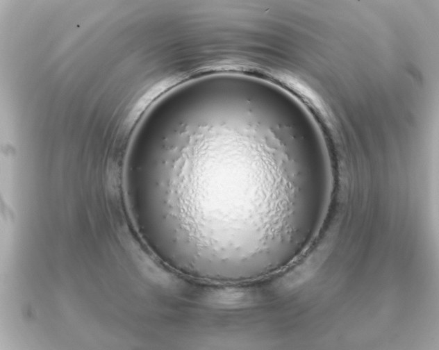 X0000091101329200708131059