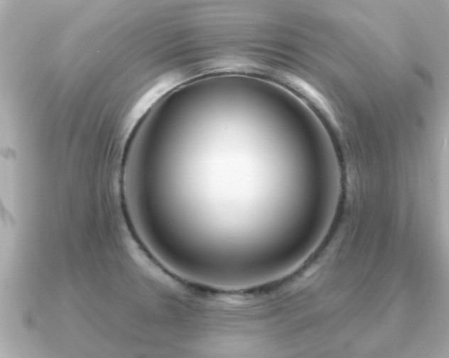 X0000091101330200708131059