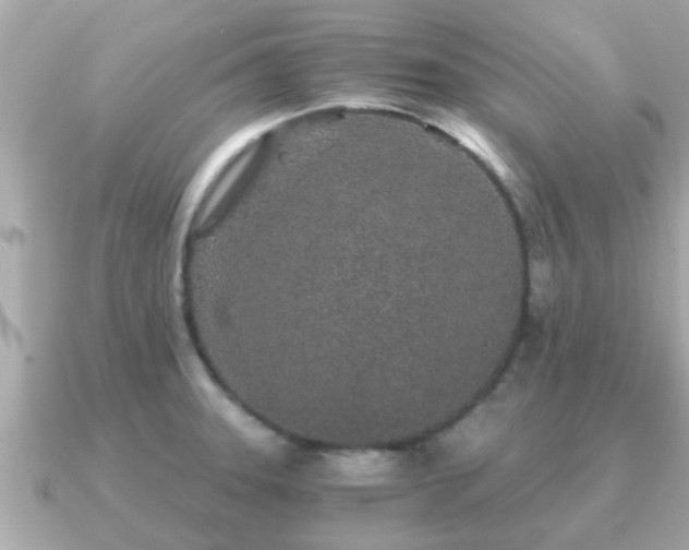 X0000091101331200708131059